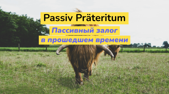 Passiv Präteritum. Пассивный залог в прошедшем времени в немецком языке